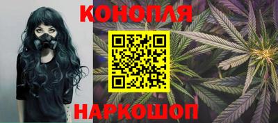 Альфа ПВП Жуковский